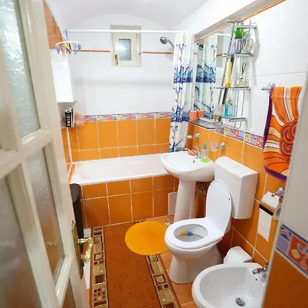 Casa Ianna Apartment Sibiu