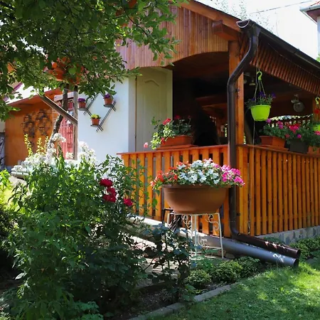 Casa Ianna * Sibiu